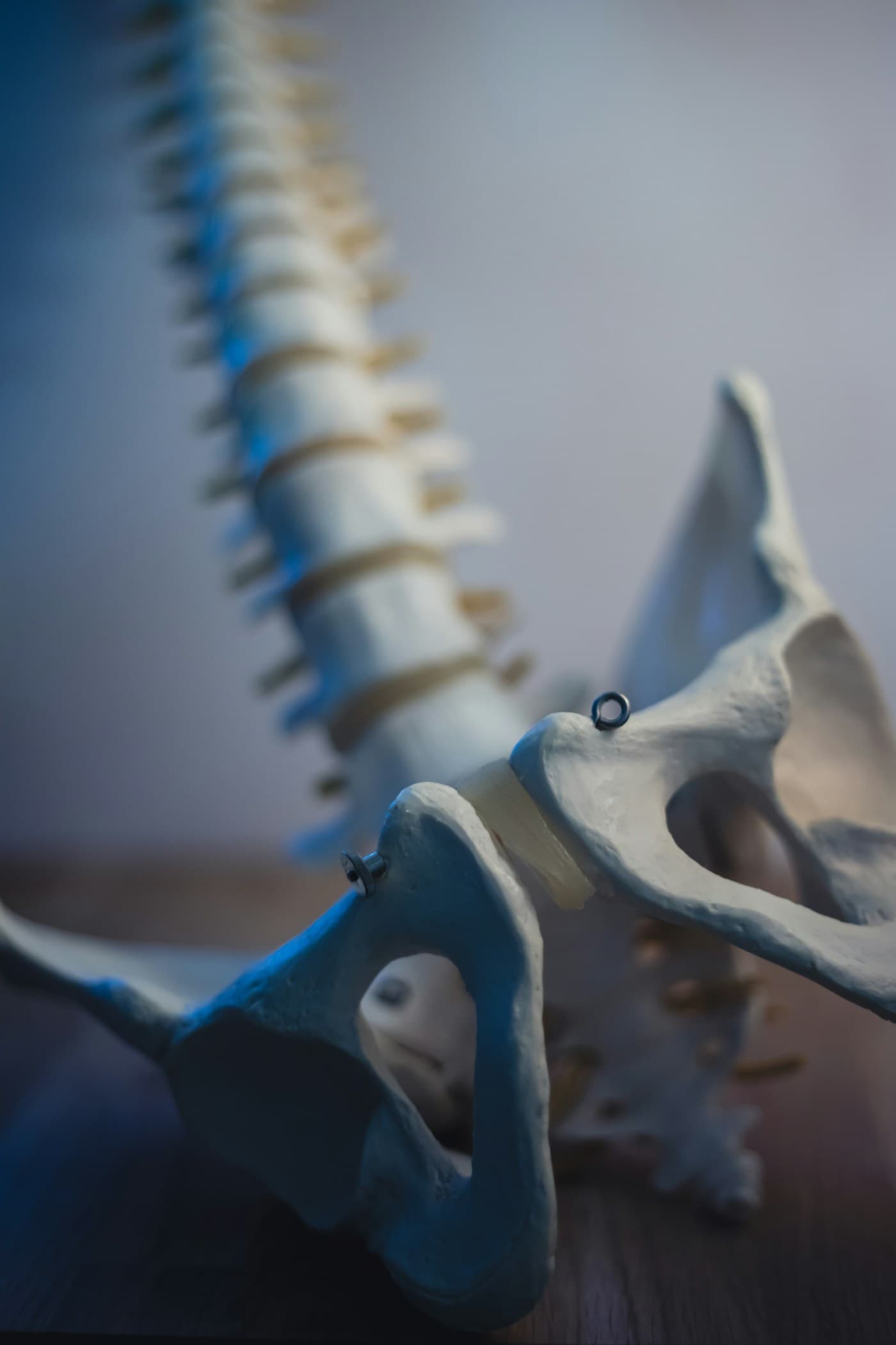Chiropractic